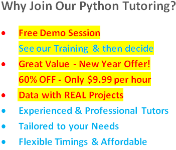 Online Python Tutoring Characteristics
