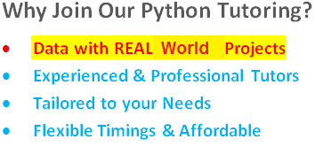 Online Python Tutoring Characteristics